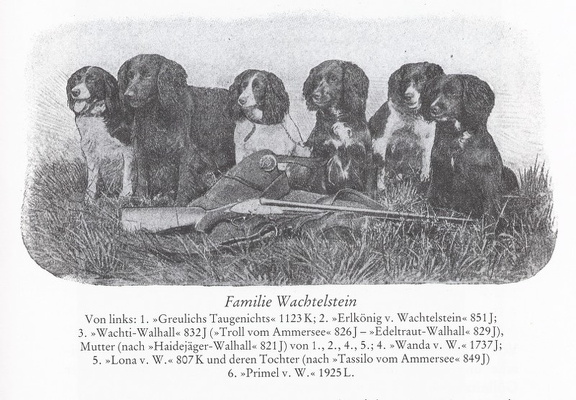 Familie Wachtelstein