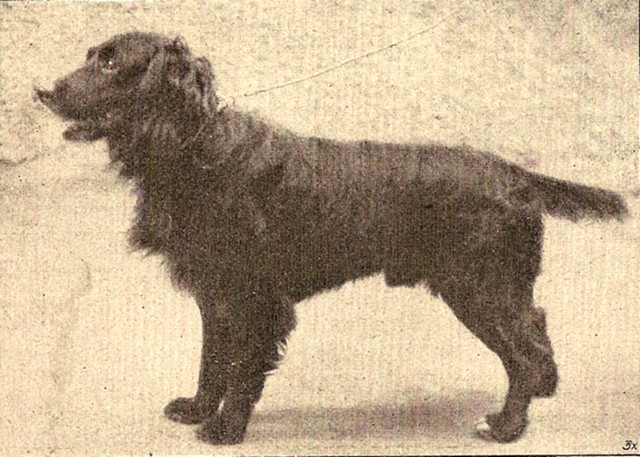 Falkner II v. Bruch 1912.jpg