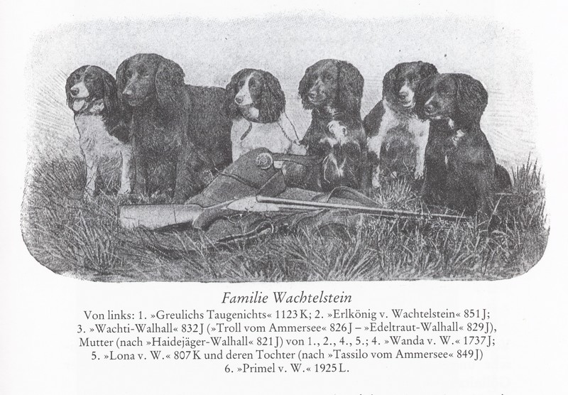 Familie Wachtelstein