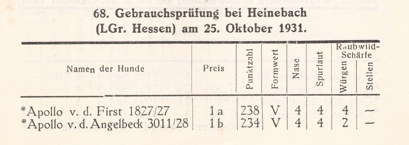 1931 GP Hessen 1