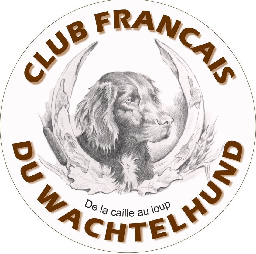 logo DW France